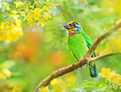 sue hsu's photo